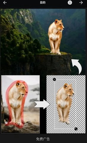 Picsart美易 v29.2.2高级版-黑猫博客