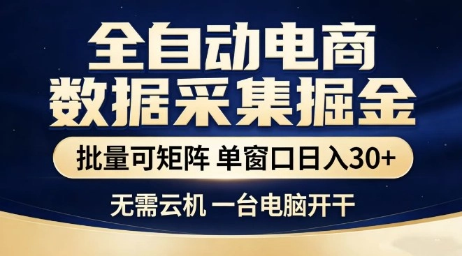 全自动电商数据集掘金，批量可矩阵，单窗口日入30+，无需云机，一台电脑开干【揭秘】-黑猫博客
