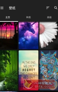 ZEDGE 铃声和壁纸v9.6.1高级版-黑猫博客