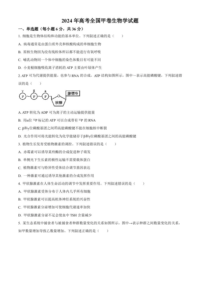 2024年高考生物试卷（全国甲卷）（空白卷）-黑猫博客