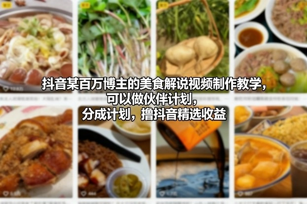 抖音某百万博主的美食解说视频制作教学，可以做伙伴计划，分成计划，撸抖音精选收益(更新)-黑猫博客