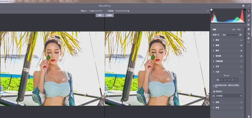 RAW处理Adobe Camera Raw v18.3.1中文版-黑猫博客