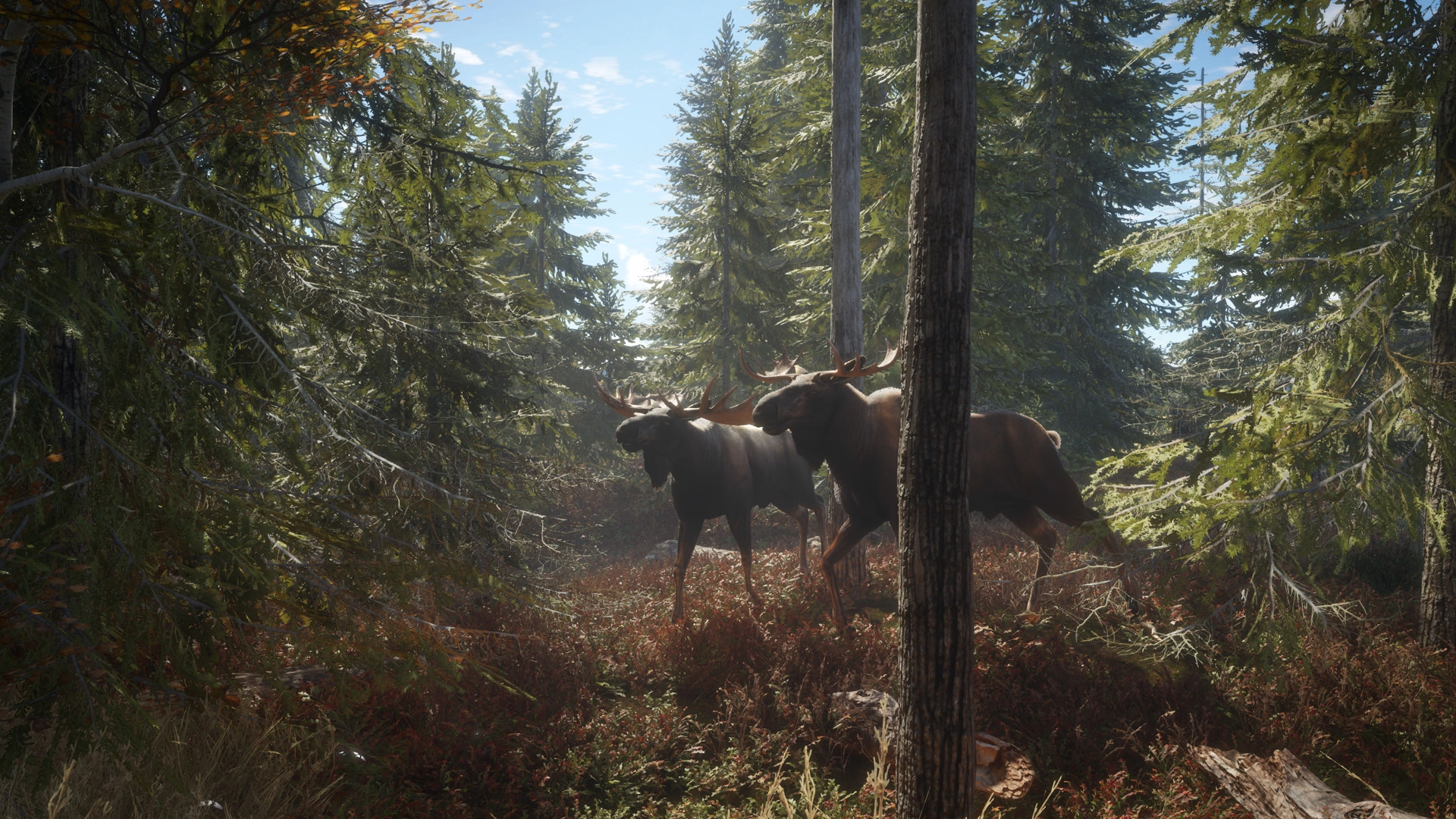 猎人：荒野的召唤/theHunter: Call of the Wild/支持网络联机-黑猫博客