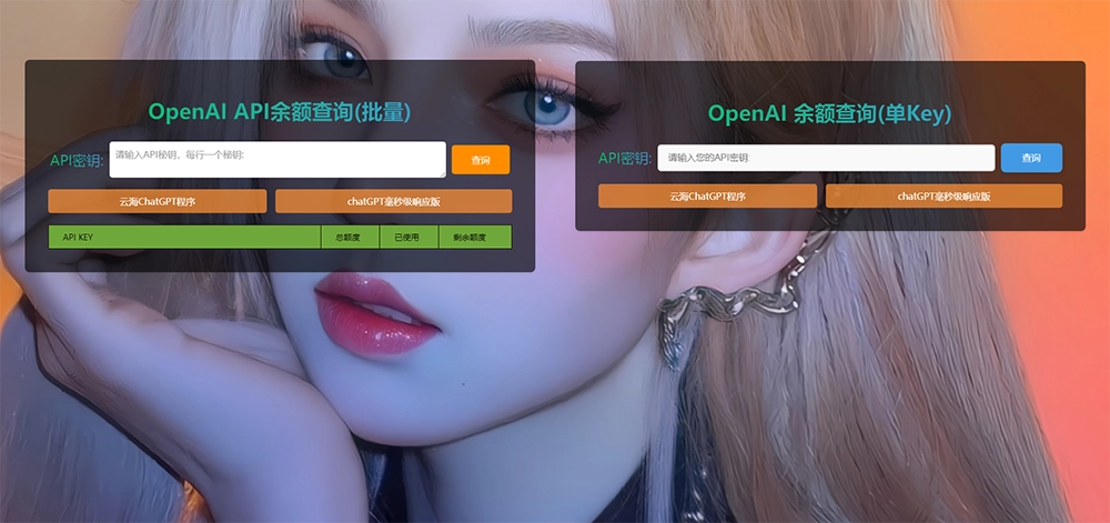 ChatGPT在线查询余额小工具源码-黑猫博客