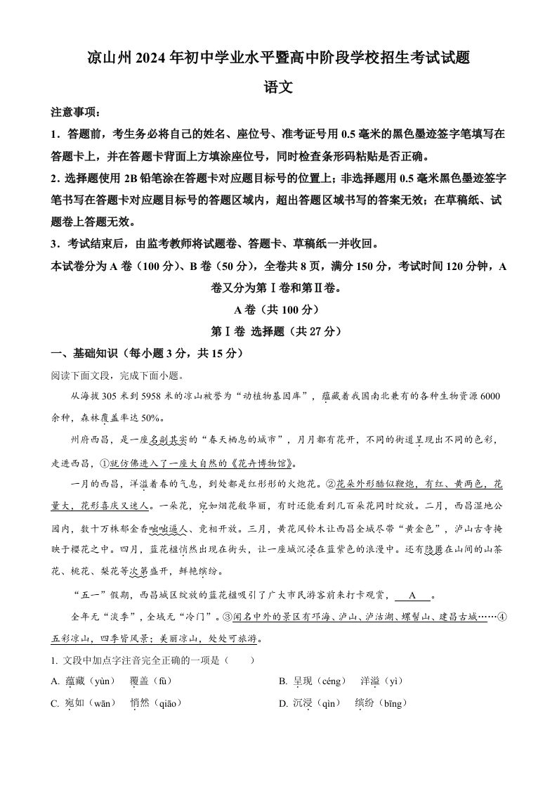 2024年四川省凉山州中考语文真题（含答案）-黑猫博客