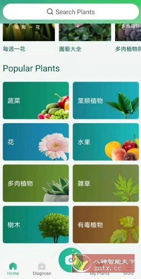 PictureThis 植物识别v5.18.0专业版-黑猫博客